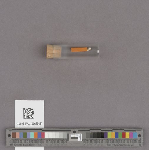 NSF ADBC EPICC TCN