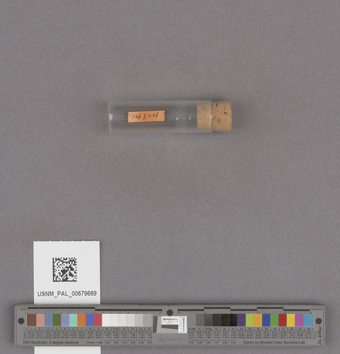 NSF ADBC EPICC TCN