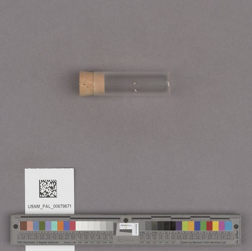 NSF ADBC EPICC TCN