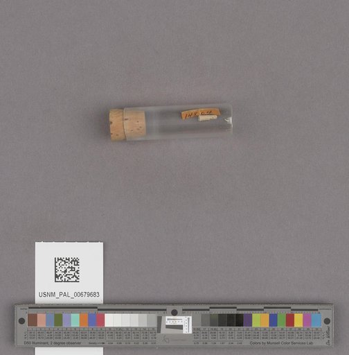 NSF ADBC EPICC TCN