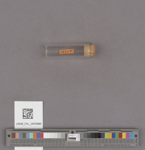NSF ADBC EPICC TCN