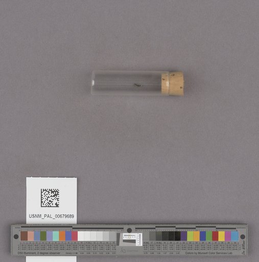 NSF ADBC EPICC TCN