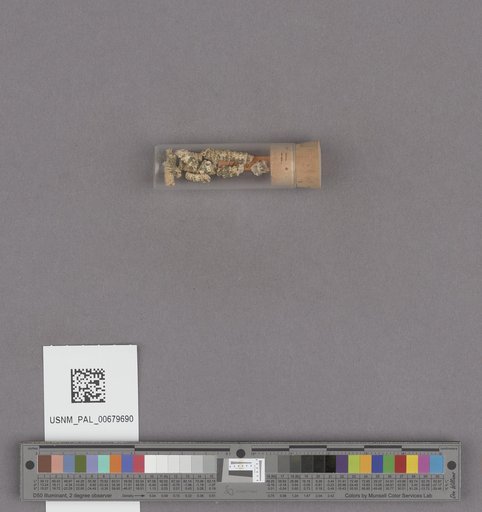 NSF ADBC EPICC TCN