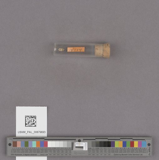 NSF ADBC EPICC TCN