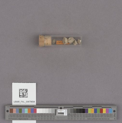 NSF ADBC EPICC TCN