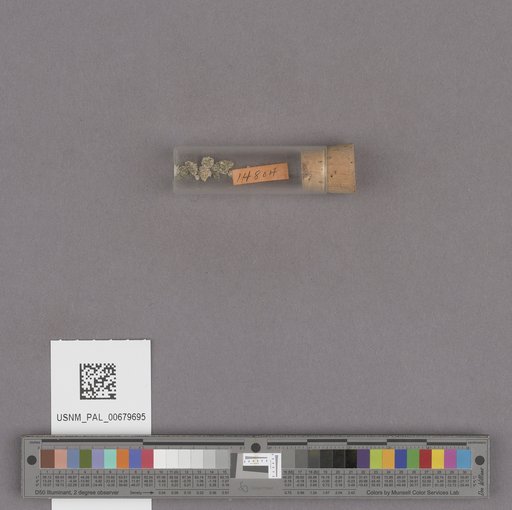 NSF ADBC EPICC TCN