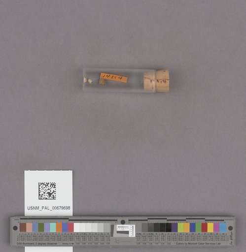 NSF ADBC EPICC TCN