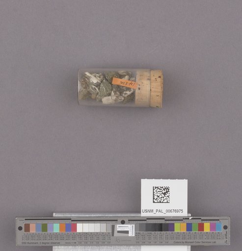 NSF ADBC EPICC TCN