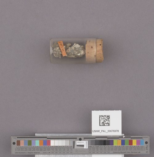 NSF ADBC EPICC TCN
