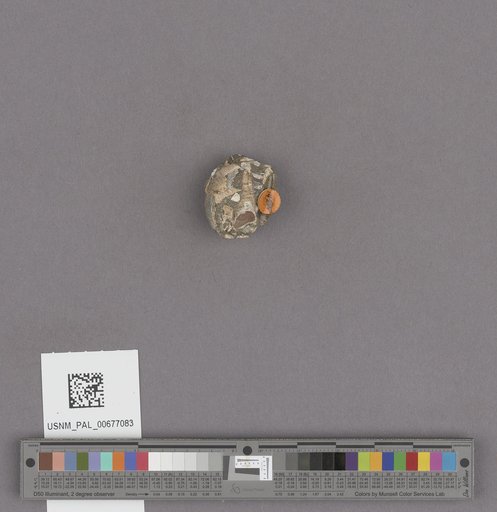NSF ADBC EPICC TCN