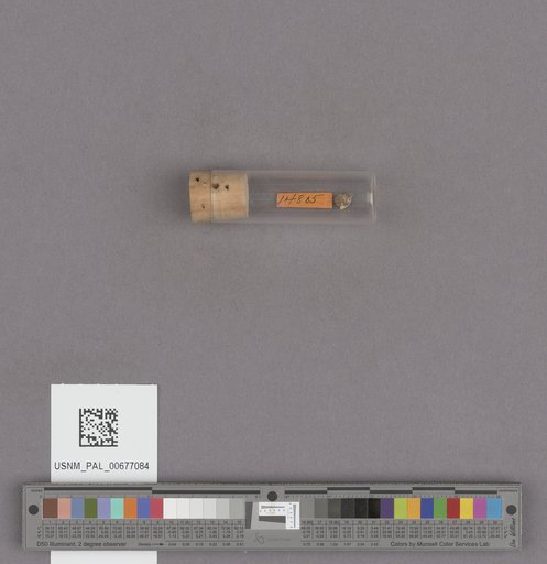 NSF ADBC EPICC TCN