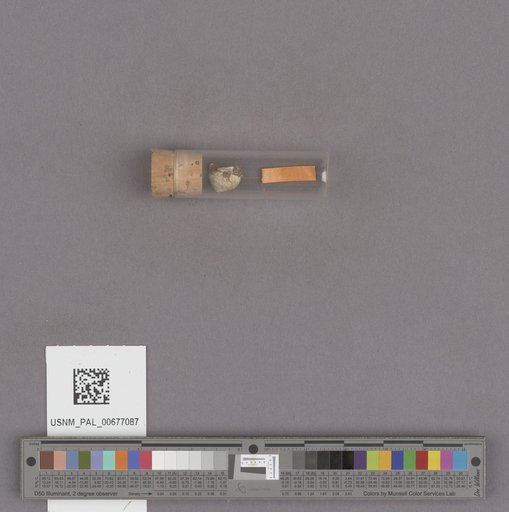 NSF ADBC EPICC TCN