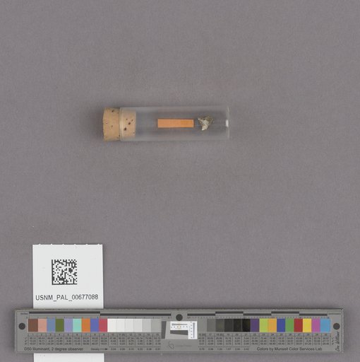 NSF ADBC EPICC TCN