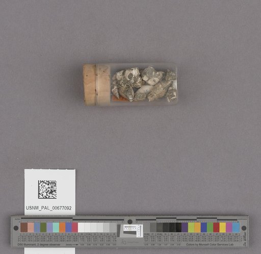 NSF ADBC EPICC TCN