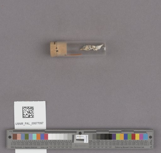 NSF ADBC EPICC TCN
