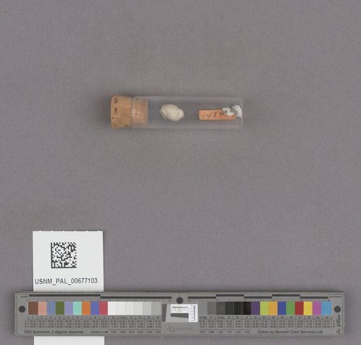 NSF ADBC EPICC TCN