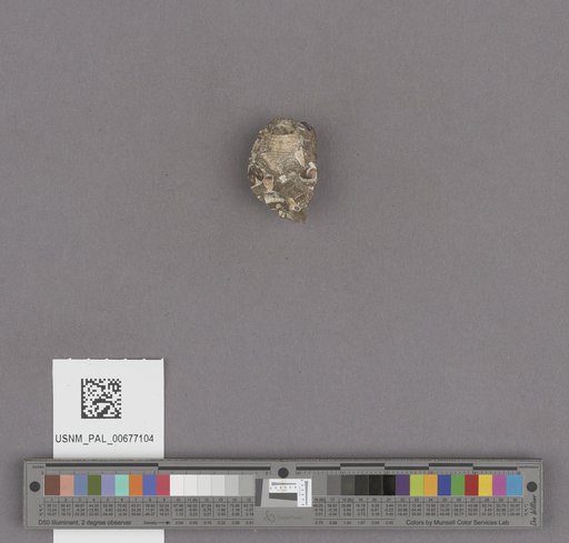 NSF ADBC EPICC TCN
