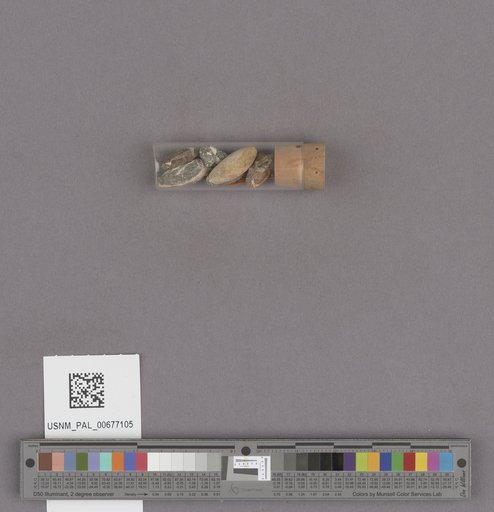 NSF ADBC EPICC TCN
