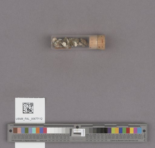 NSF ADBC EPICC TCN