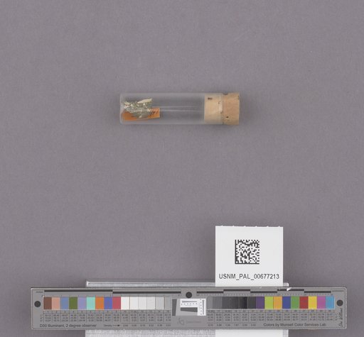 NSF ADBC EPICC TCN