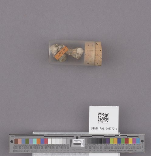 NSF ADBC EPICC TCN