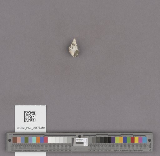 NSF ADBC EPICC TCN
