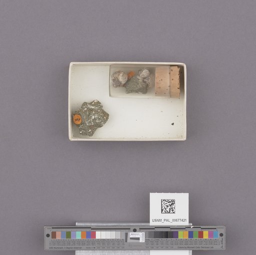 NSF ADBC EPICC TCN