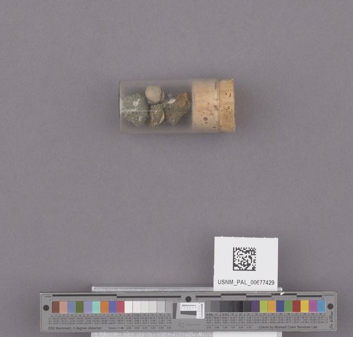 NSF ADBC EPICC TCN