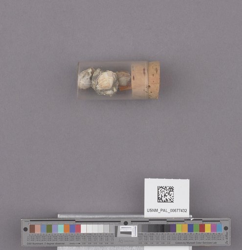 NSF ADBC EPICC TCN