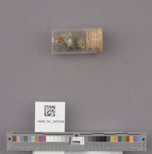 NSF ADBC EPICC TCN