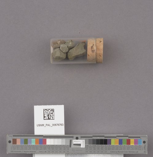 NSF ADBC EPICC TCN