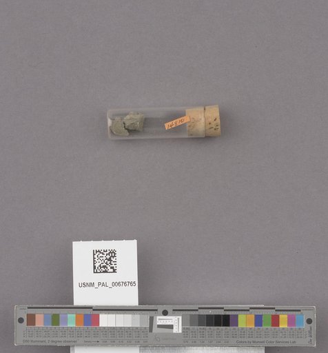 NSF ADBC EPICC TCN