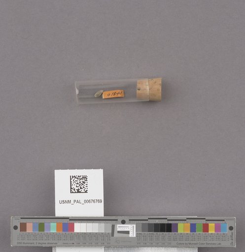 NSF ADBC EPICC TCN