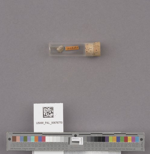 NSF ADBC EPICC TCN