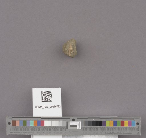 NSF ADBC EPICC TCN