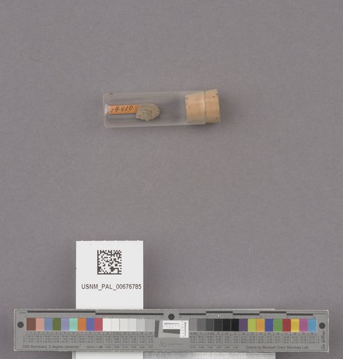 NSF ADBC EPICC TCN