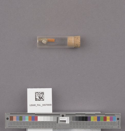 NSF ADBC EPICC TCN