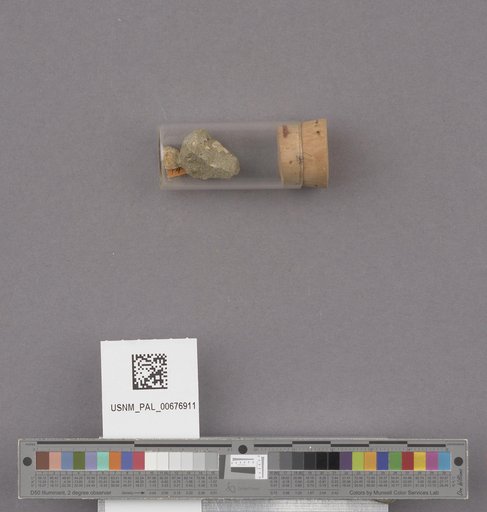 NSF ADBC EPICC TCN