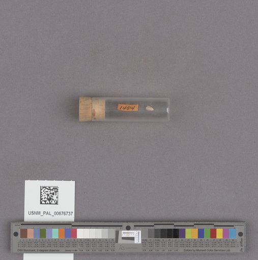 NSF ADBC EPICC TCN