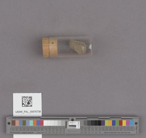 NSF ADBC EPICC TCN