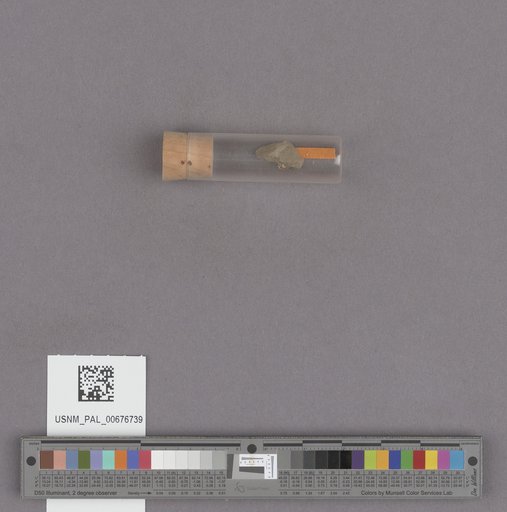 NSF ADBC EPICC TCN