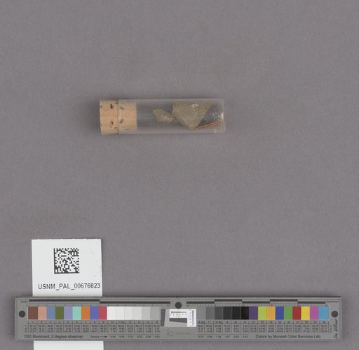 NSF ADBC EPICC TCN
