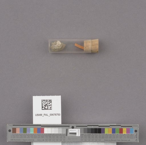 NSF ADBC EPICC TCN