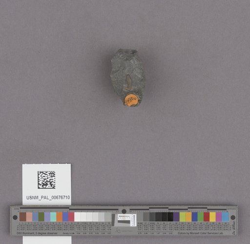NSF ADBC EPICC TCN