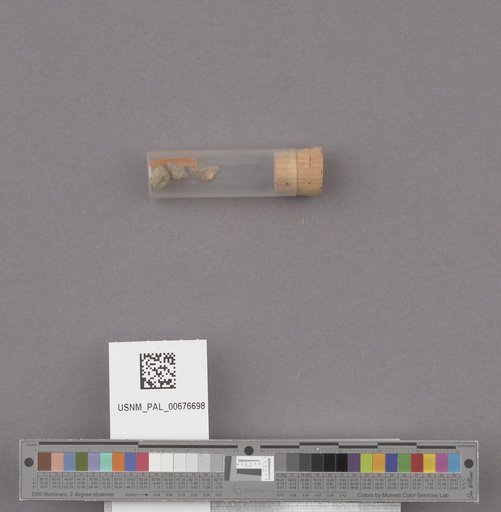 NSF ADBC EPICC TCN