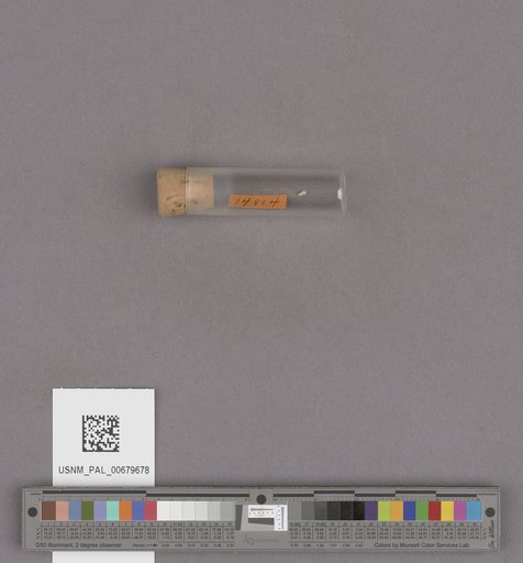 NSF ADBC EPICC TCN