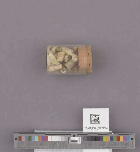 NSF ADBC EPICC TCN