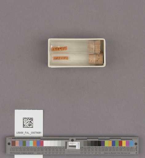 NSF ADBC EPICC TCN
