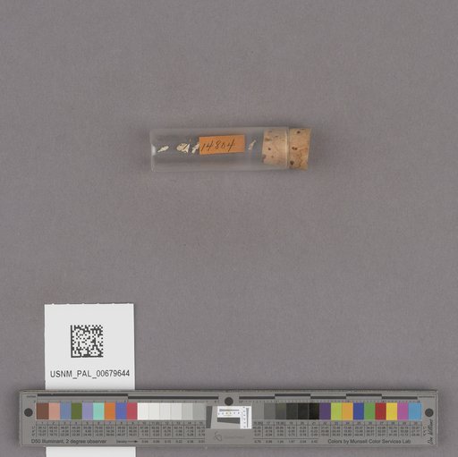NSF ADBC EPICC TCN