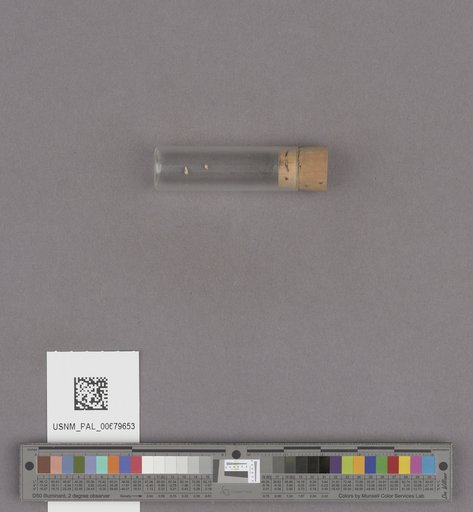 NSF ADBC EPICC TCN